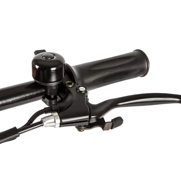 �������������� Pollargy